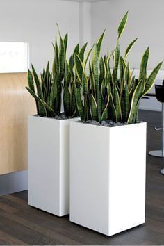 Stylish Wooden Frame Planter Pot 2.P Set | MSPS-0137